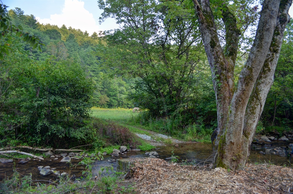 Cabin for Sale in Blue Ridge Mountains